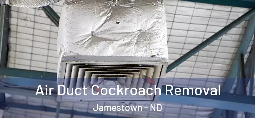  Air Duct Cockroach Removal Jamestown - ND