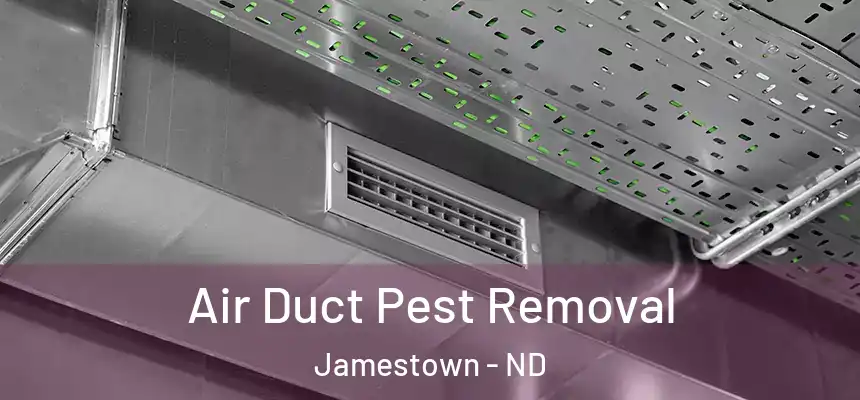  Air Duct Pest Removal Jamestown - ND