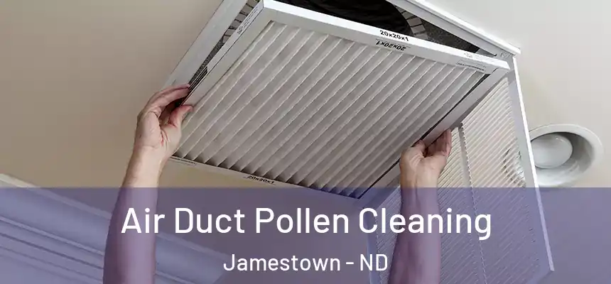  Air Duct Pollen Cleaning Jamestown - ND
