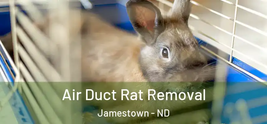  Air Duct Rat Removal Jamestown - ND