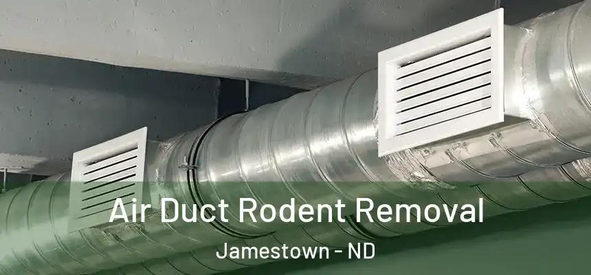  Air Duct Rodent Removal Jamestown - ND