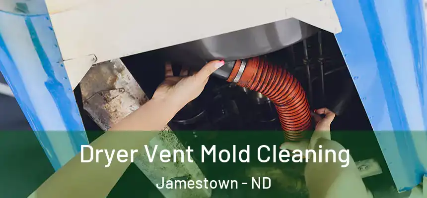 Dryer Vent Mold Cleaning Jamestown - ND