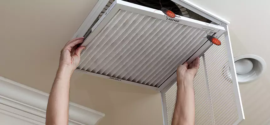 Our Insect Removal from Air Ducts Services in Jamestown, ND
