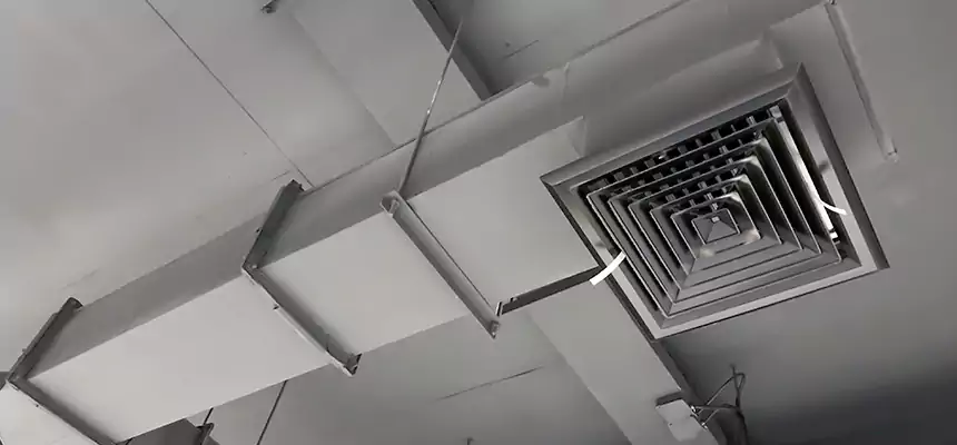 Our Rodent Droppings In Vents Services in Jamestown, ND