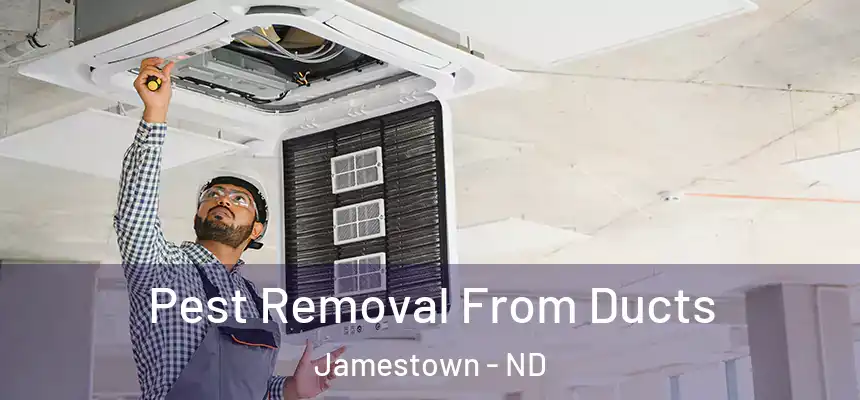  Pest Removal From Ducts Jamestown - ND