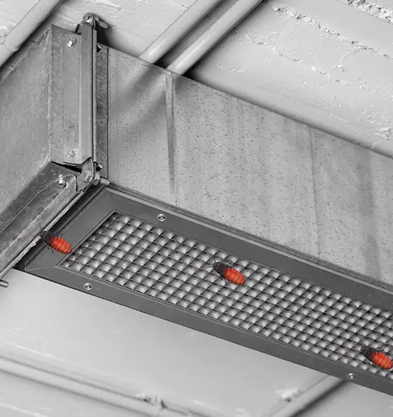 About Air Duct Cockroach Removal in Jamestown, ND