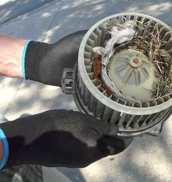 About Air Duct Rat Removal in Jamestown, ND