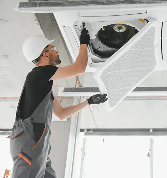 About Air Duct Rodent Removal in Jamestown, ND