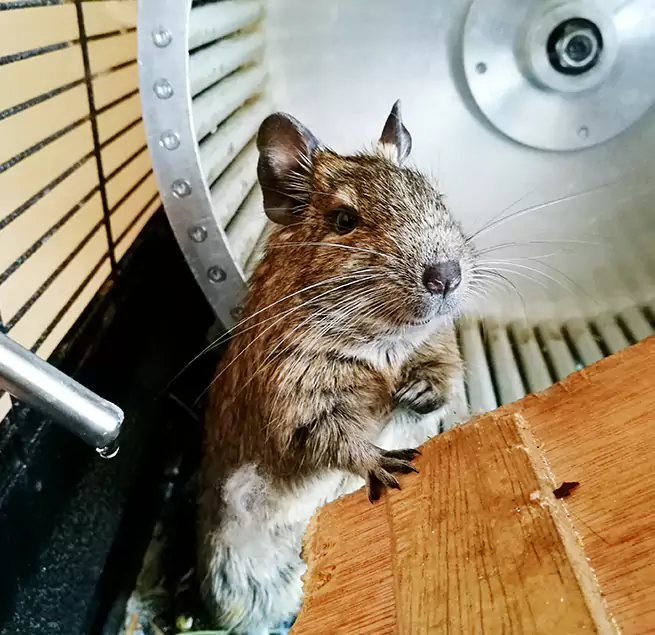 Why Homeowners & Businesses Trust Us Jamestown, ND?